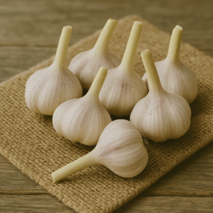 Knoblauch frisch Demeter 1kg