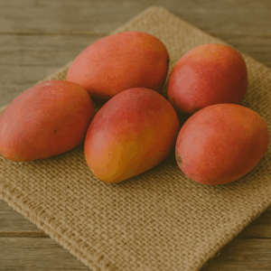 Mango Sensation ES 1kg