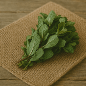 Minze Demeter DE Bund